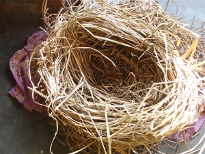 birds nest packaging